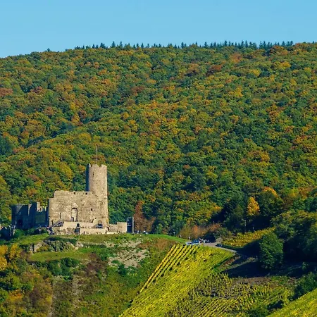 Moseltalblick Apartment Bernkastel-Kues