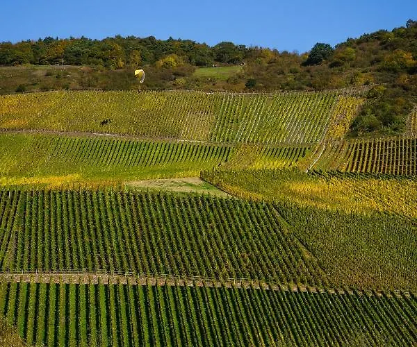 Apartment Moseltalblick