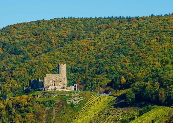 Moseltalblick Apartment Bernkastel-Kues