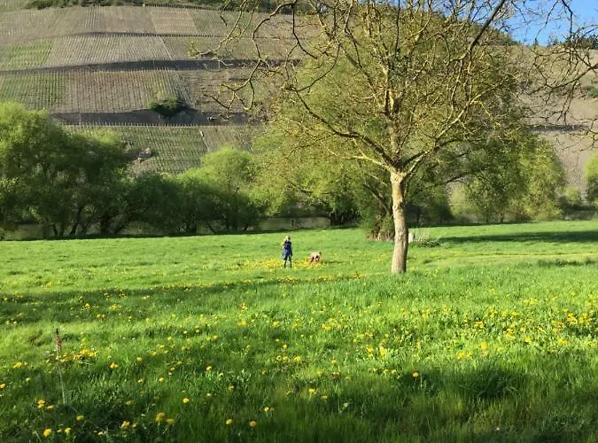 Apartamento Moseltalblick Bernkastel-Kues