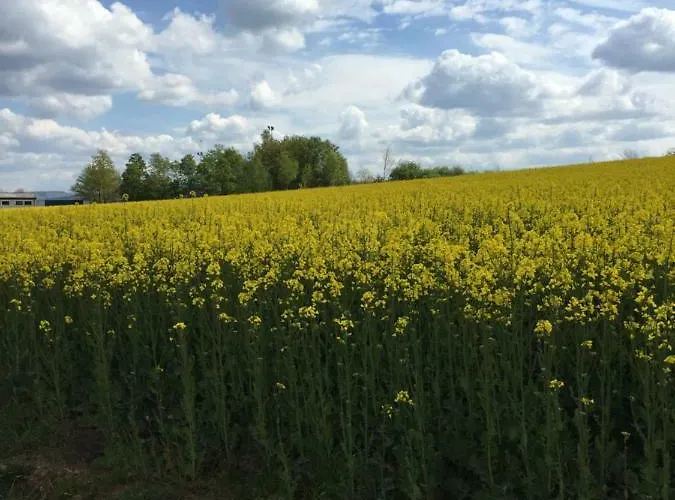 Apartamento Moseltalblick